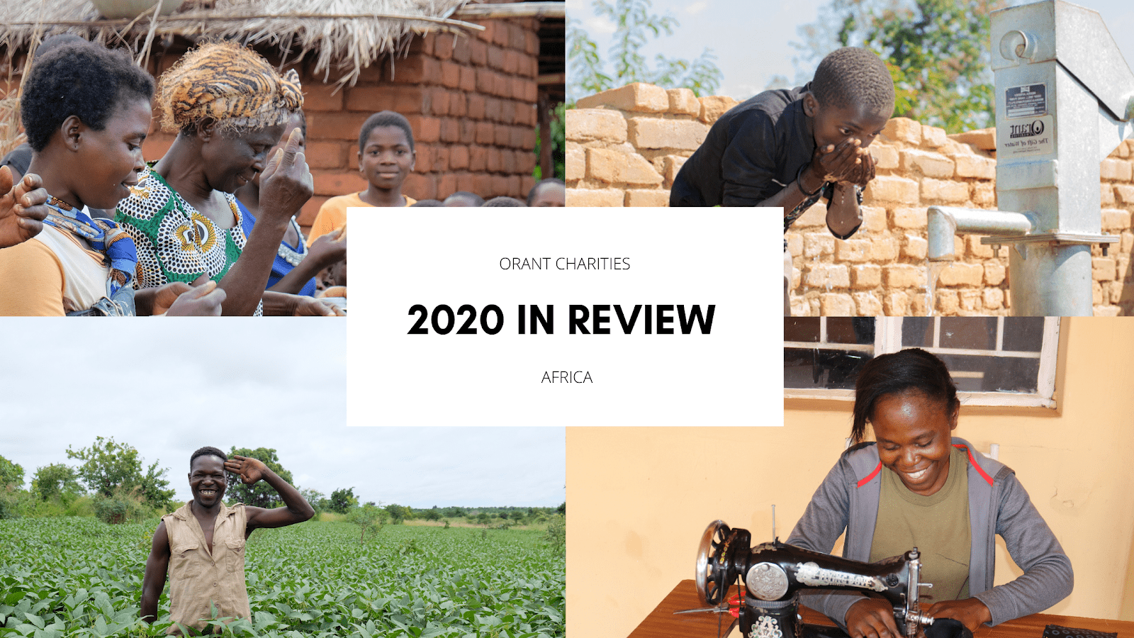 Read more about the article 2020 in Review