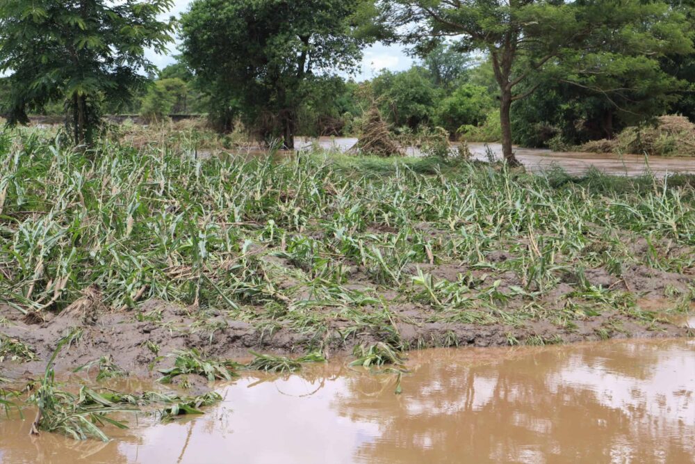 Read more about the article Floods in Malawi
