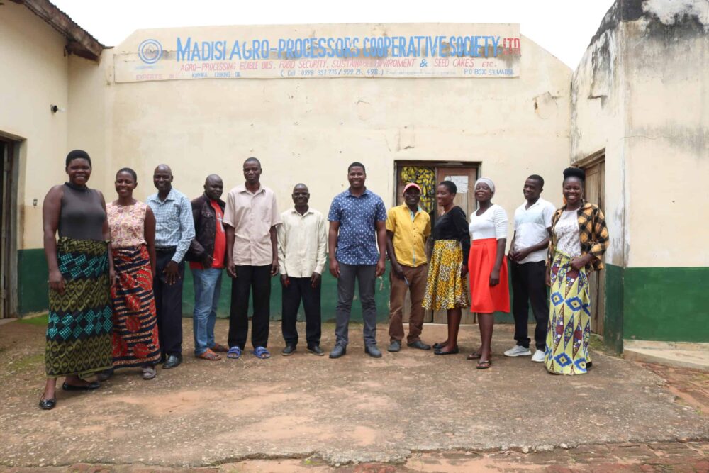Read more about the article Madisi Agro-Processors Cooperative