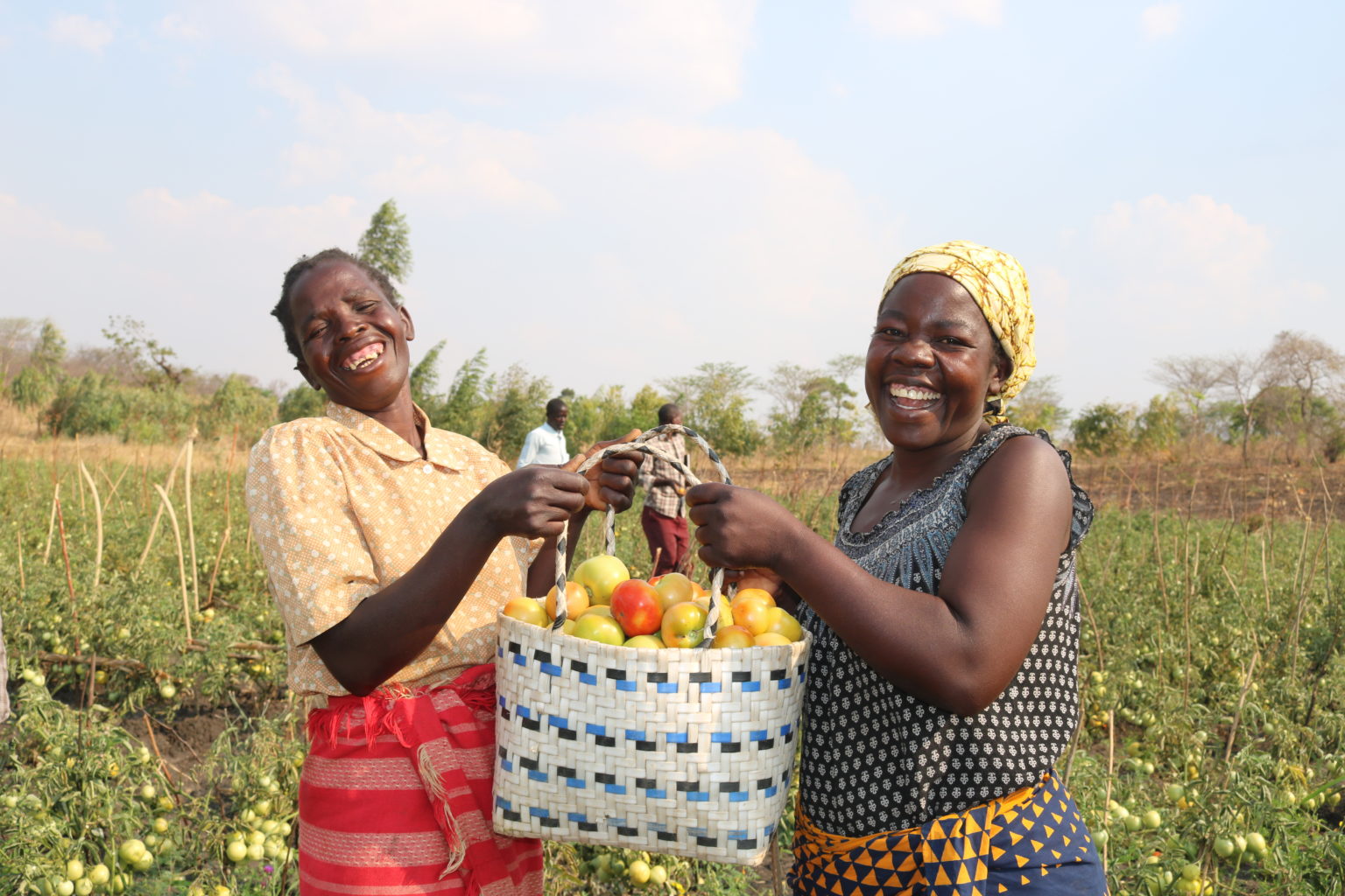 How to Make Mbeya Fertilizer - Orant Charities Africa