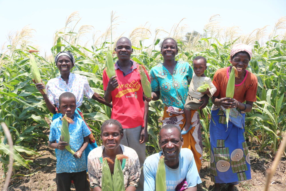 Read more about the article Irrigation Club in Malawi