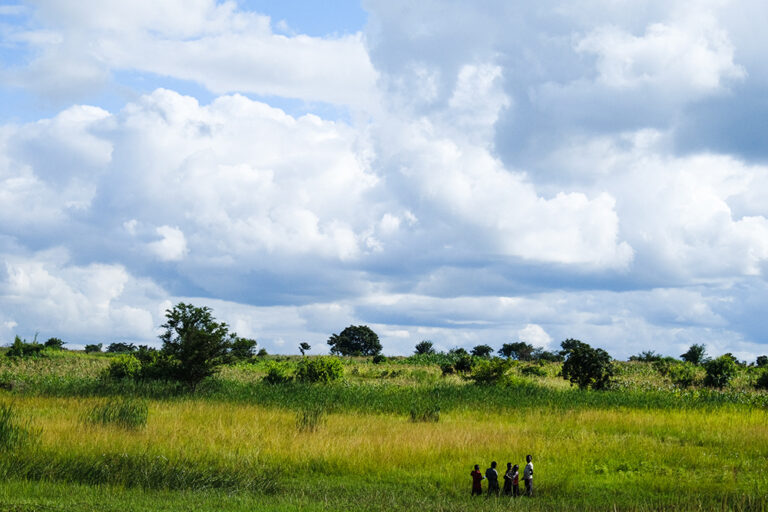 Farmers in a green field under a blue sky with clouds