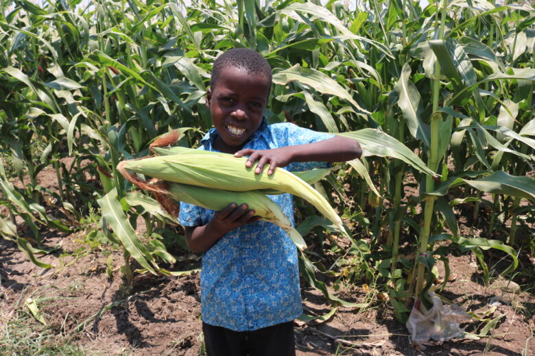 Malawian boy with corn