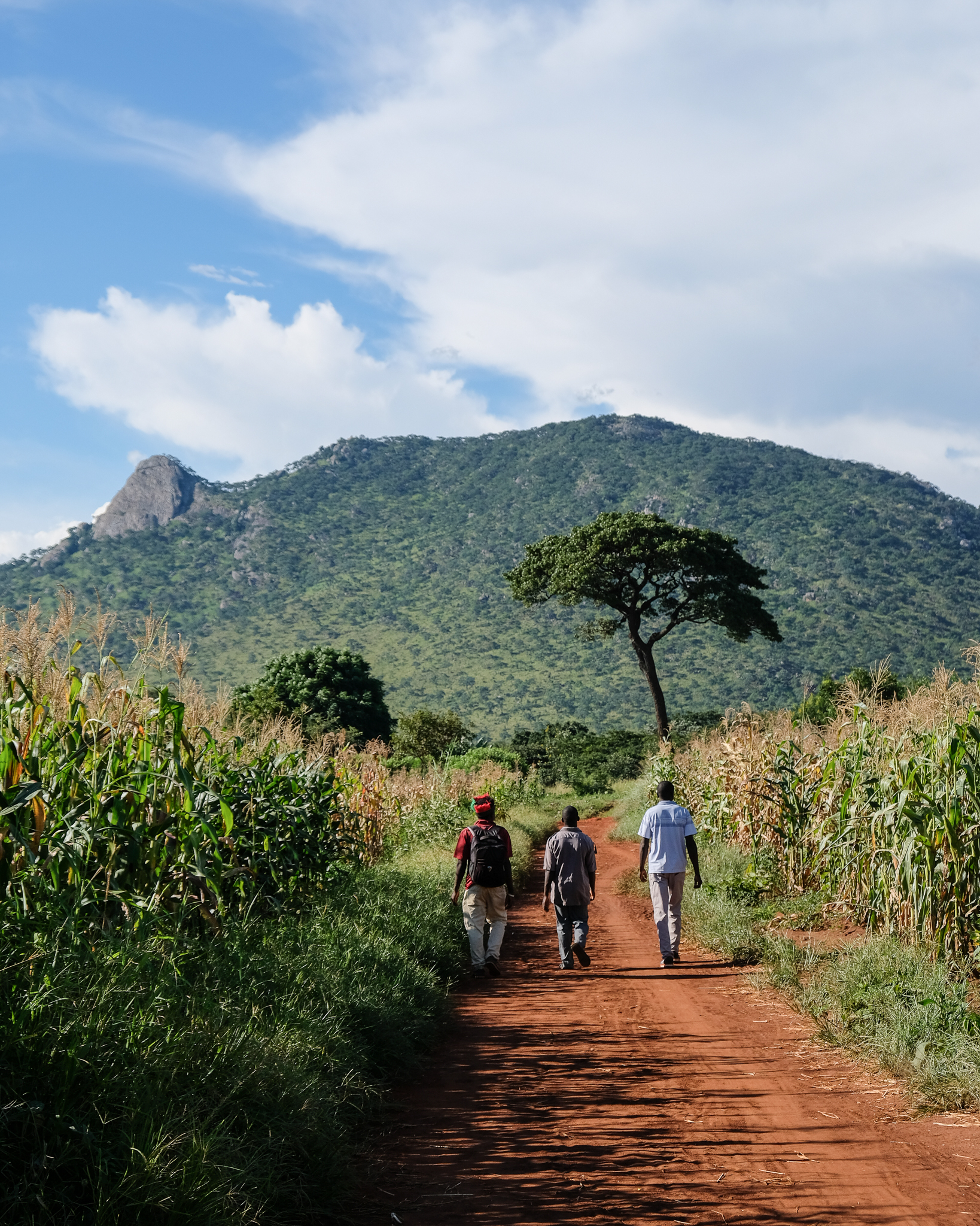 Read more about the article Holidays in Malawi
