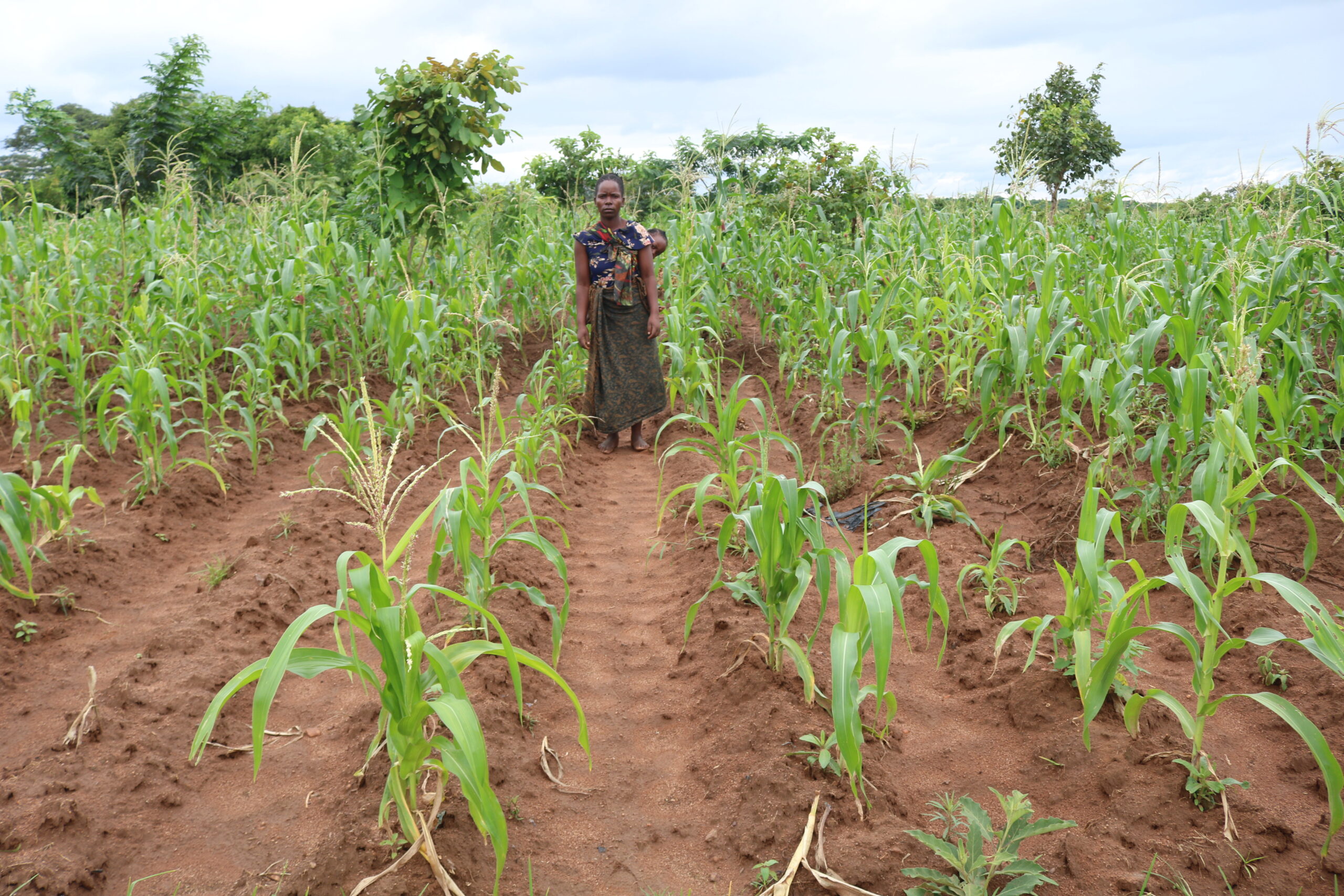 The Life of a Subsistence Farmer in Rural Malawi