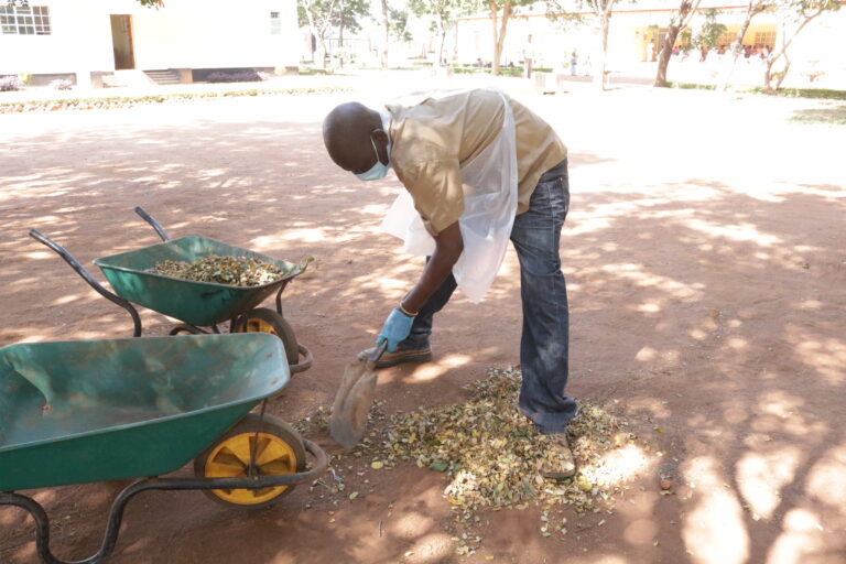 One of the committee members sweeps up fallen leaves.