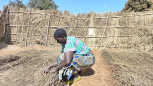 Greening Malawi, One Nursery at a Time