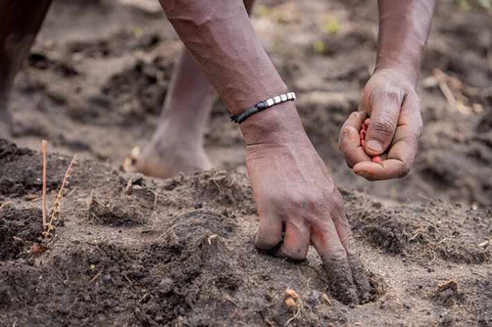 A black hand digs a small hole in the wet dirt to plant a seed.