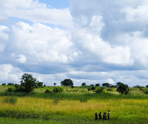 Colonial Rule in Malawi