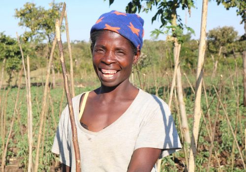 Irrigation Clubs at Work in Malawi