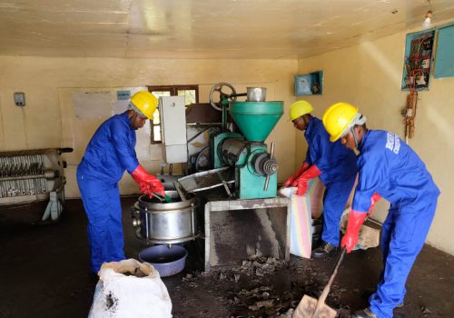 Industrialization in Malawi: MW2063 Pillar #2